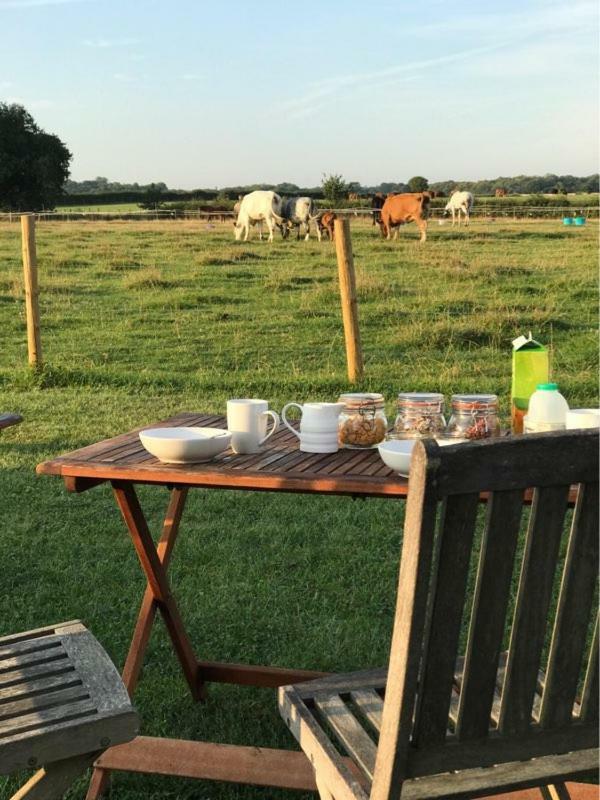 Shepherdshuts-Southeast Hotell Ashford  Eksteriør bilde