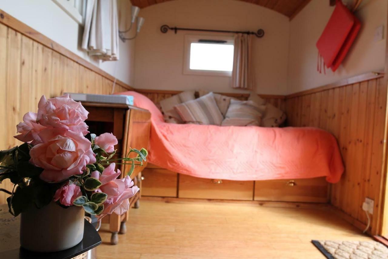 Shepherdshuts-Southeast Hotell Ashford  Eksteriør bilde
